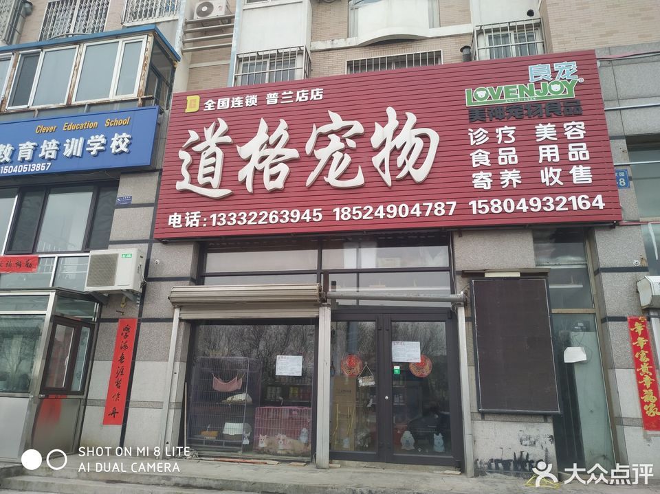 大连沙河口区的宠物店-大连沙河口区的宠物店在哪