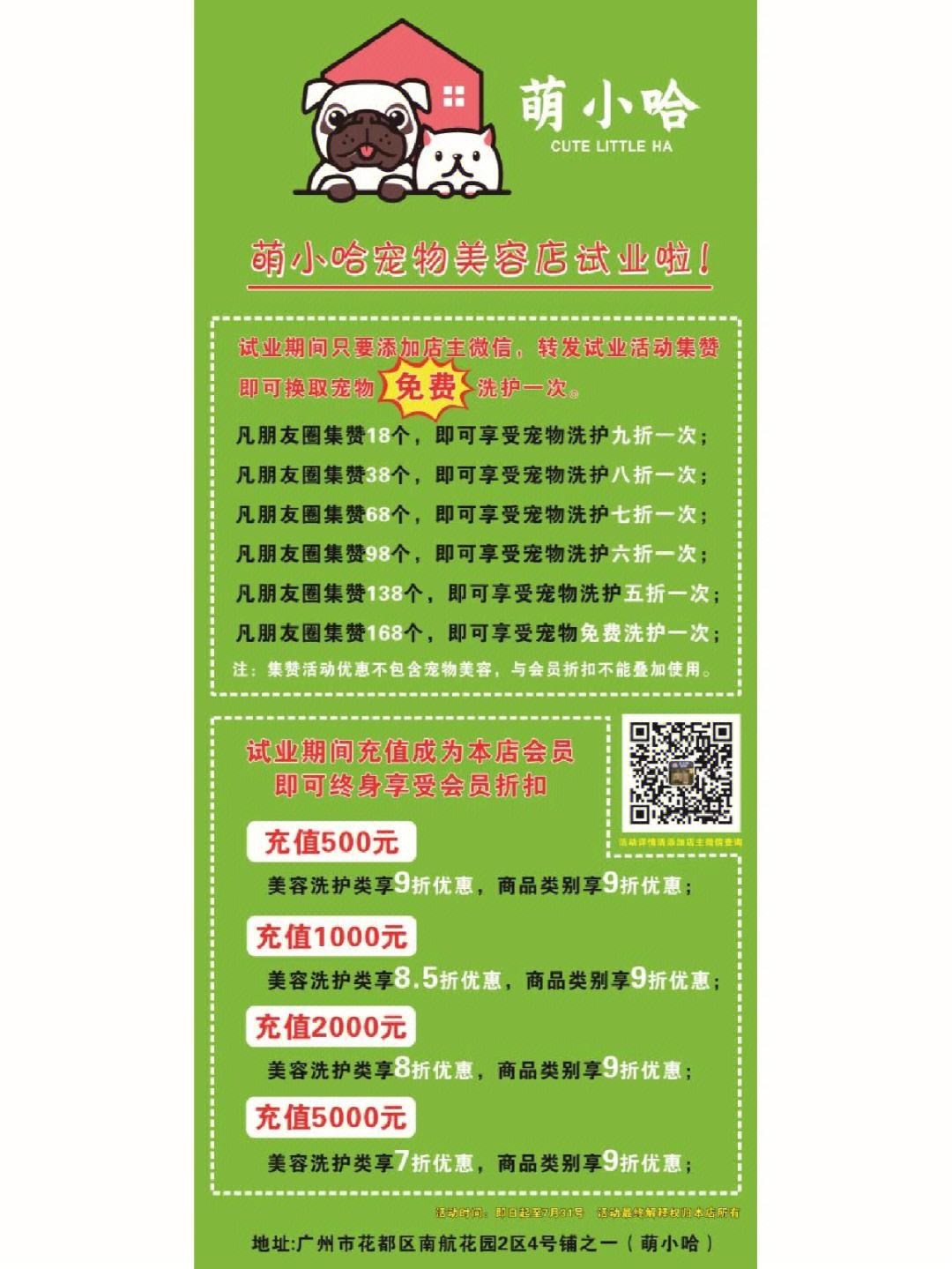 宠物店洗澡活动方案-宠物店洗澡活动广告词