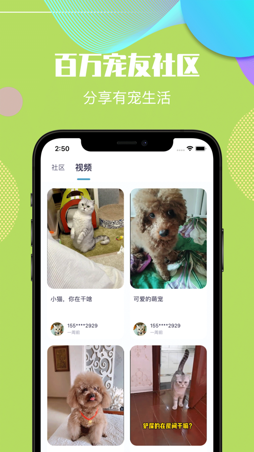 专门卖宠物的app-专门卖宠物的app个人