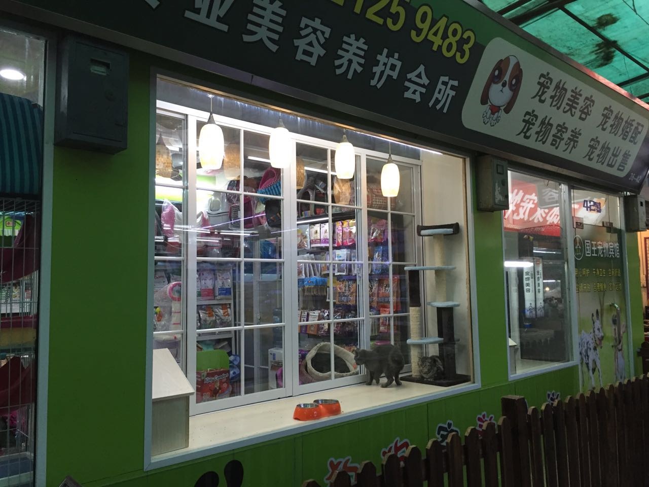 上海比较好的宠物店-上海比较好的宠物店排名