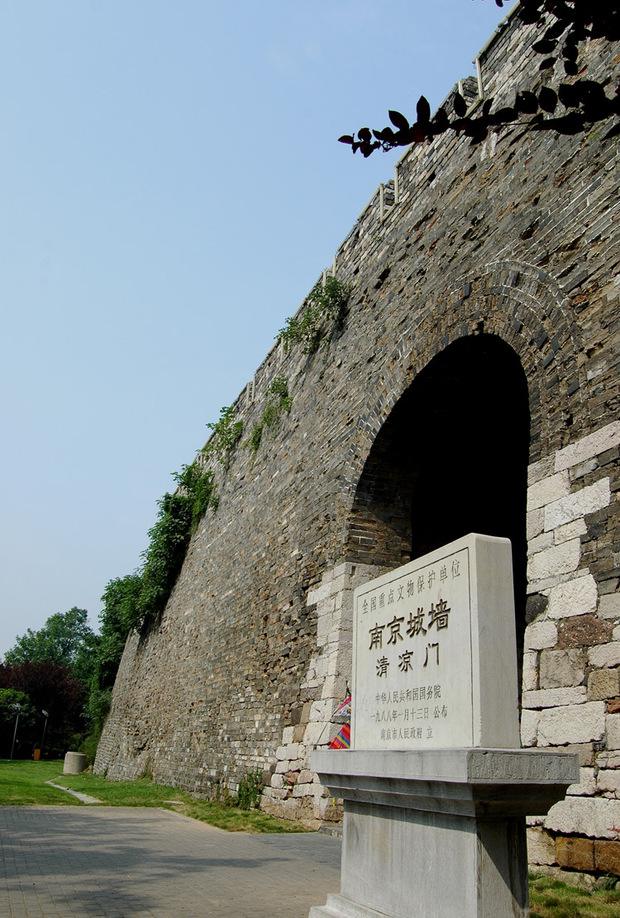 南京清凉门大街宠物店-南京清凉门大街宠物店电话