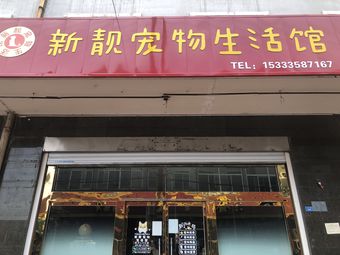 鞍山哪有宠物店-鞍山哪有宠物店啊